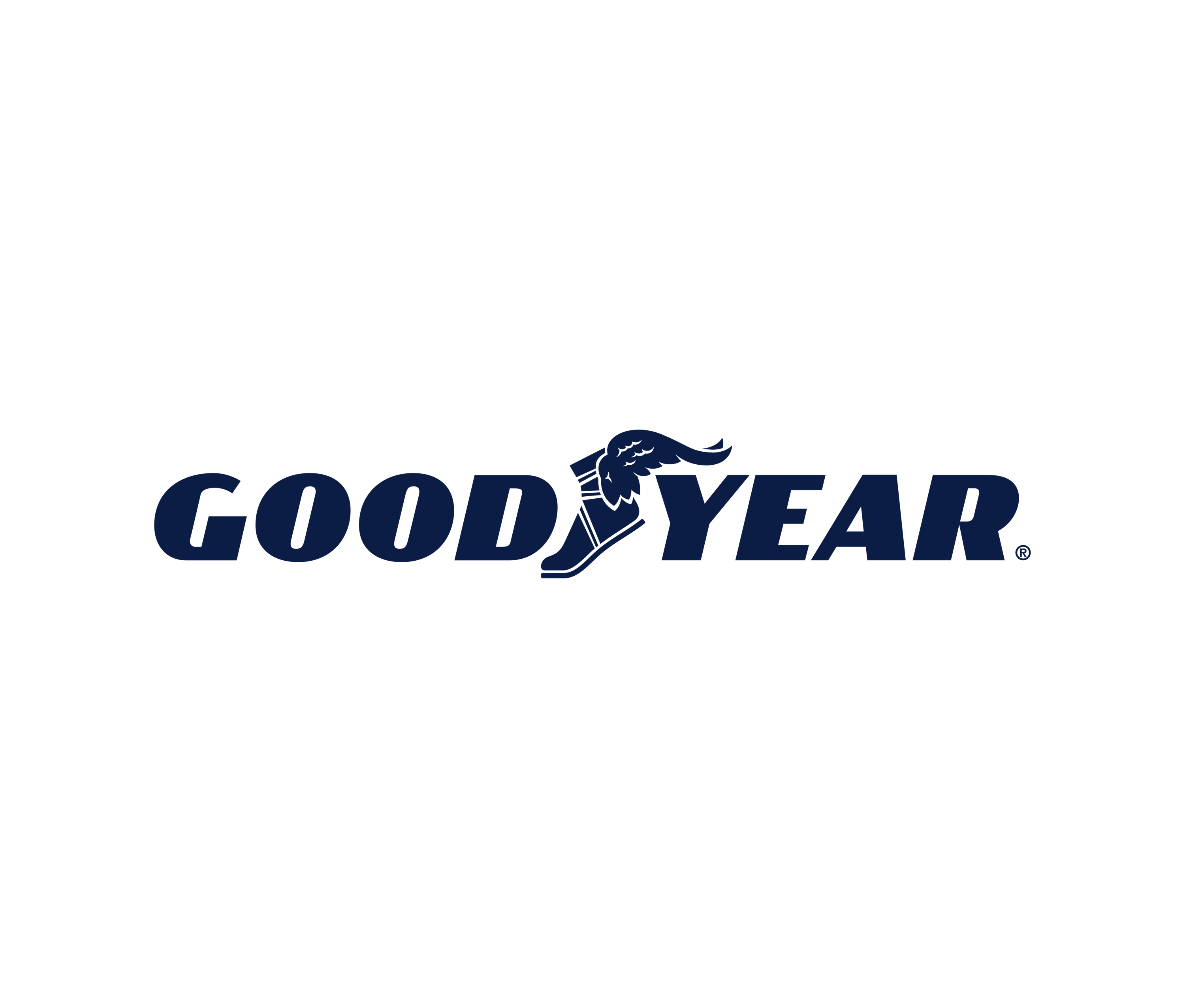 Get to Know Our Members